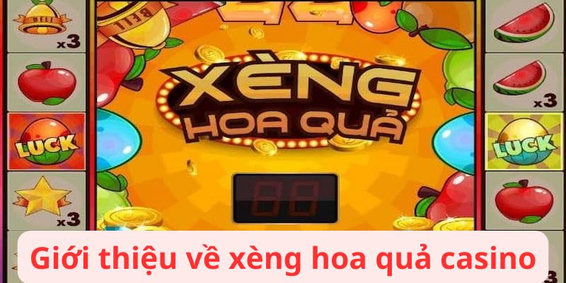 Xèng Hoa Quả: Tìm Hiểu Các Tính Năng Đặc Biệt 2 xeng hoa qua 3